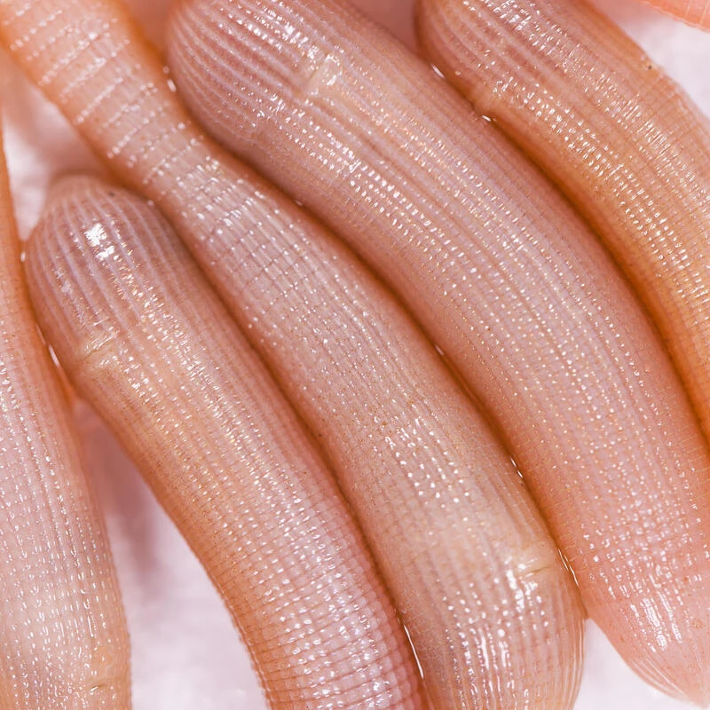 No Brand Appâts Vivants De Pêche En Mer - Vers Bibis Grande Taille X5 3 No Brand Appâts Vivants De Pêche En Mer - Vers Bibis Grande Taille X5