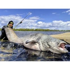 Canne Silure Black Cat Perfect Passion XH-S (510g - 3m20 - Max 350g - 2 - 160cm) 9 Canne Silure Black Cat Perfect Passion XH-S (510g - 3m20 - Max 350g - 2 - 160cm) -Fournitures De Pêche canne silure black cat perfect passion xh s 510g 3m20 max 350g 2 160cm 3