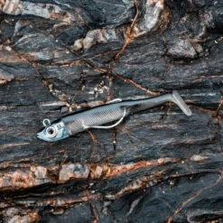 COMBO Leurres Souples Shad Texan ANCHO 120 12g Dos Noir/dos Blanc Pêche En Mer 21 COMBO Leurres Souples Shad Texan ANCHO 120 12g Dos Noir/dos Blanc Pêche En Mer -Fournitures De Pêche combo leurres souples shad texan ancho 120 12g dos noirdos blanc peche en mer 9