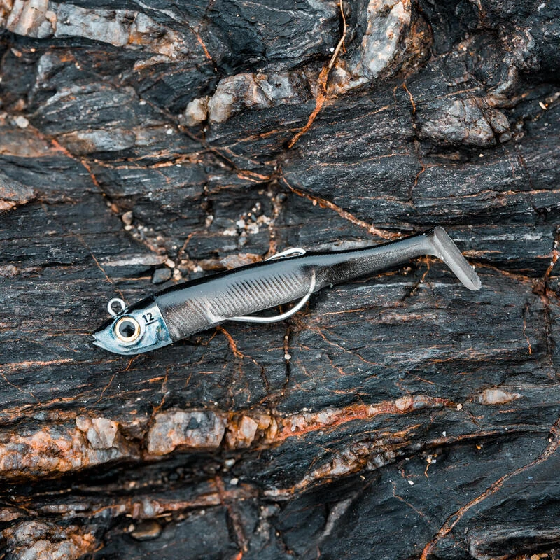 COMBO Leurres Souples Shad Texan ANCHO 120 12g Dos Noir/dos Blanc Pêche En Mer 12 COMBO Leurres Souples Shad Texan ANCHO 120 12g Dos Noir/dos Blanc Pêche En Mer – Image 10