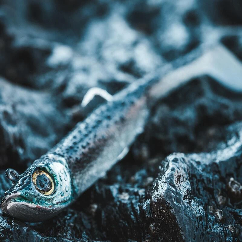 COMBO Leurres Souples Shad Texan ANCHO 120 50g Dos Noir/dos Blanc Pêche En Mer 6 COMBO Leurres Souples Shad Texan ANCHO 120 50g Dos Noir/dos Blanc Pêche En Mer – Image 4