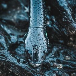 COMBO Leurres Souples Shad Texan ANCHO 120 50g Dos Noir/dos Blanc Pêche En Mer 13 COMBO Leurres Souples Shad Texan ANCHO 120 50g Dos Noir/dos Blanc Pêche En Mer -Fournitures De Pêche combo leurres souples shad texan ancho 120 50g dos noirdos blanc peche en mer 4