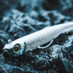 COMBO Leurres Souples Shad Texan ANCHO 120 50g Dos Noir/dos Blanc Pêche En Mer 14 COMBO Leurres Souples Shad Texan ANCHO 120 50g Dos Noir/dos Blanc Pêche En Mer -Fournitures De Pêche combo leurres souples shad texan ancho 120 50g dos noirdos blanc peche en mer 5