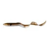 No Brand LEURRES SOUPLES EAU DOUCE REAL EEL 20CM 27G OLIVE X2 1 No Brand LEURRES SOUPLES EAU DOUCE REAL EEL 20CM 27G OLIVE X2 -Fournitures De Pêche leurres souples eau douce real eel 20cm 27g olive x2