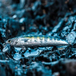 Poisson Nageur SAXTON 75 F BONITO Pêche Au Leurre En Mer 11 Poisson Nageur SAXTON 75 F BONITO Pêche Au Leurre En Mer -Fournitures De Pêche poisson nageur saxton 75 f bonito peche au leurre en mer 4