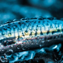 Poisson Nageur SAXTON 75S MAQUEREAU VERT Pêche Au Leurre En Mer -Fournitures De Pêche poisson nageur saxton 75s maquereau vert peche au leurre en mer 4